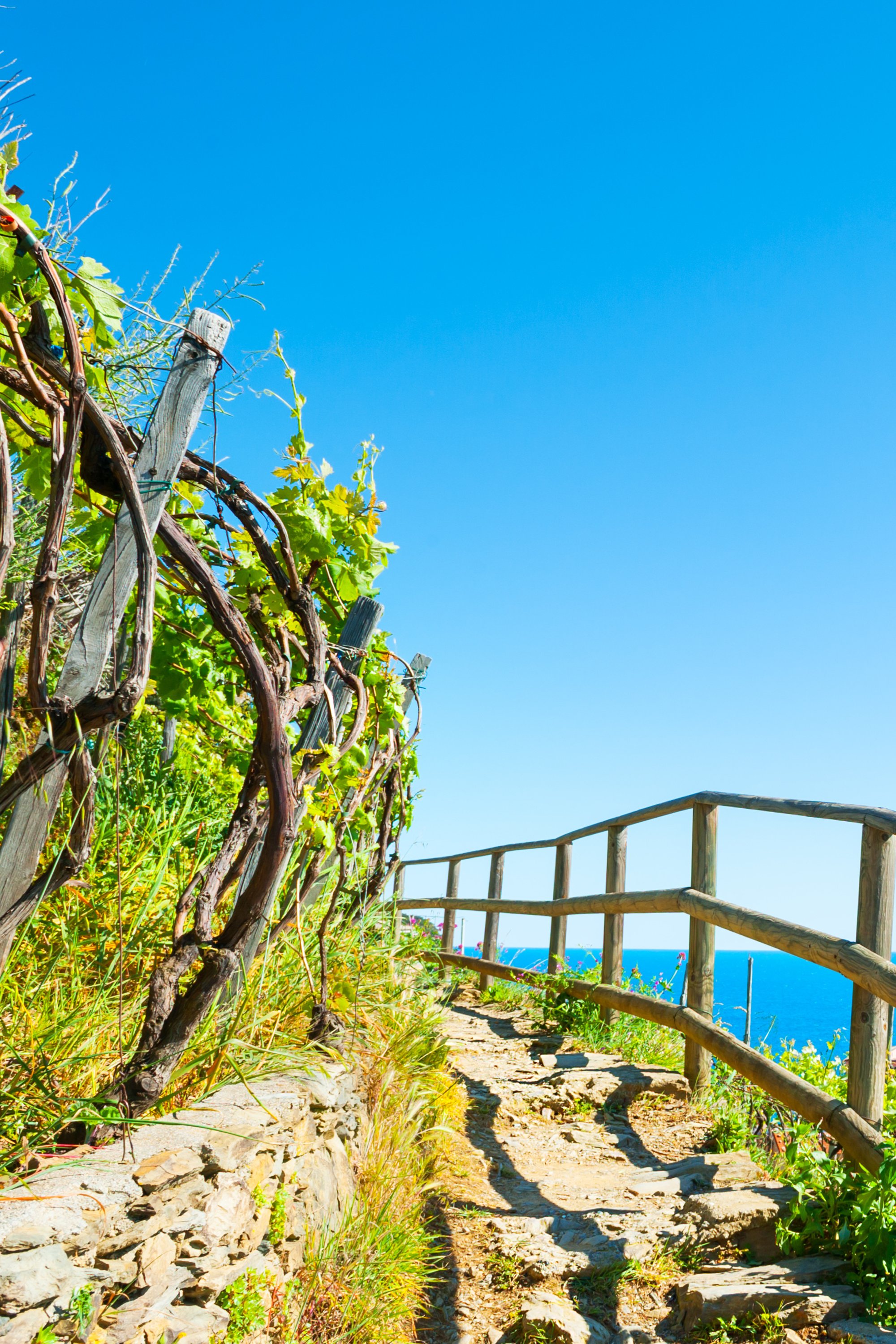 liguria