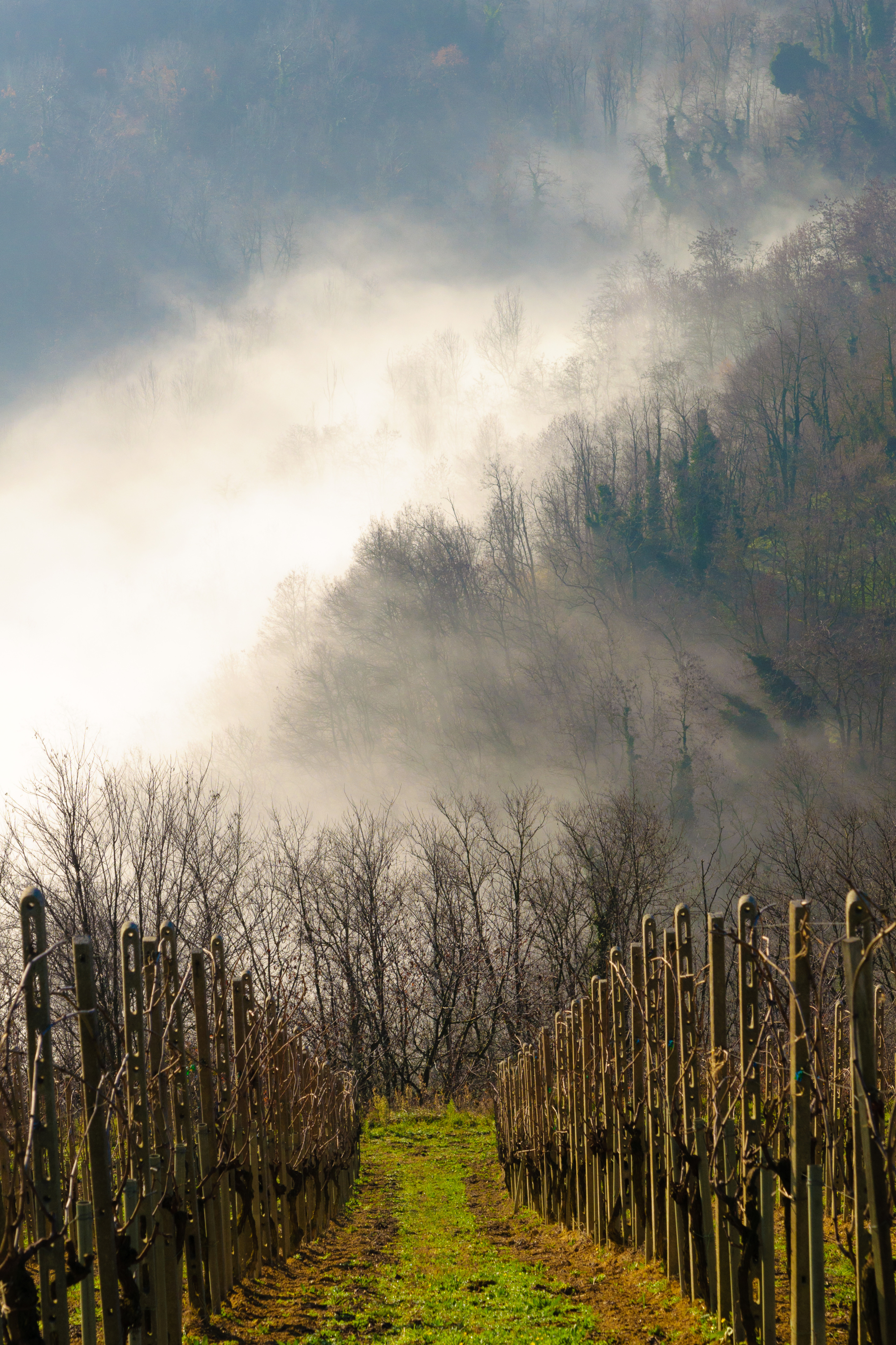 Valle Oscuropasso