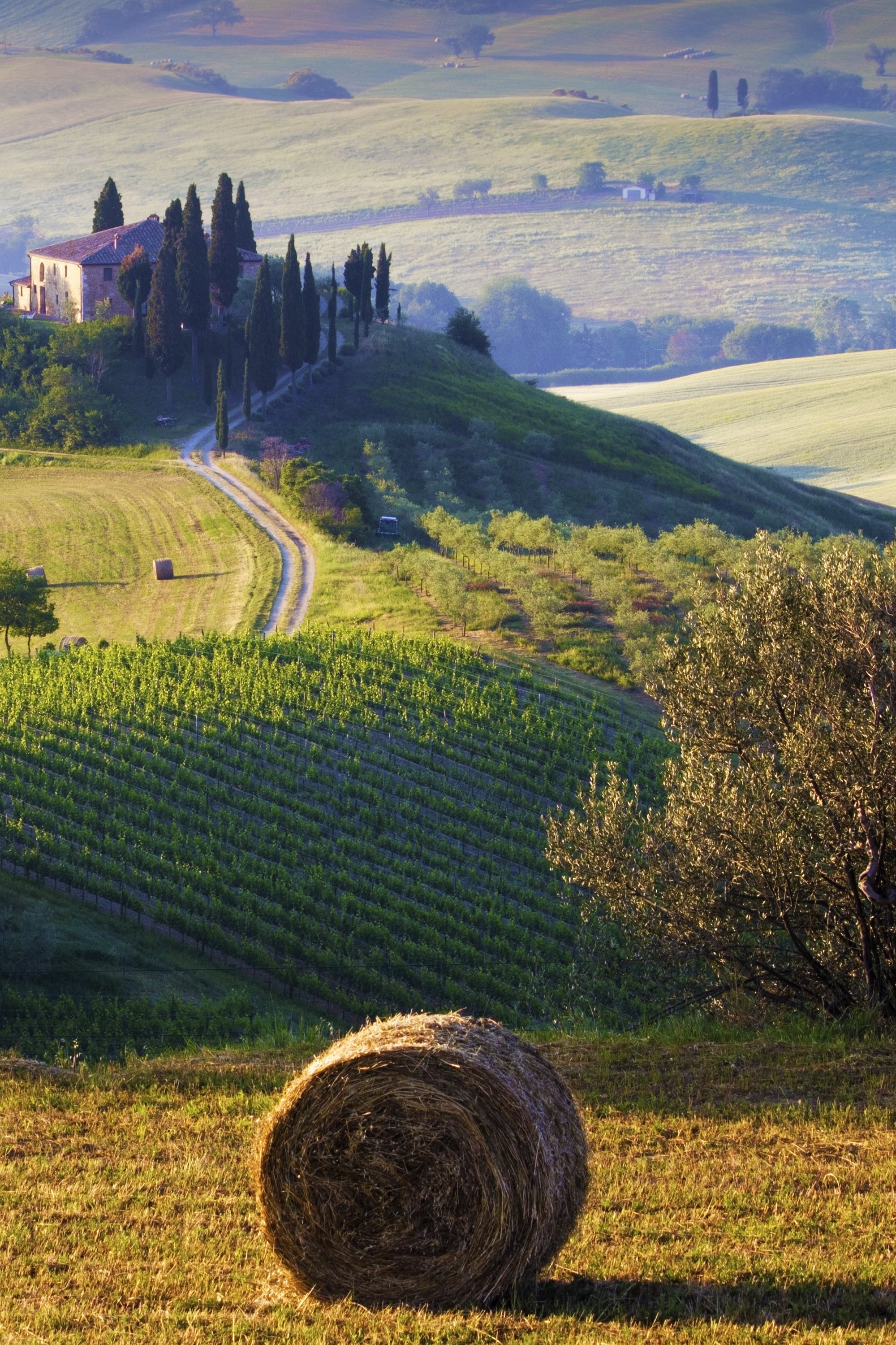 toscana